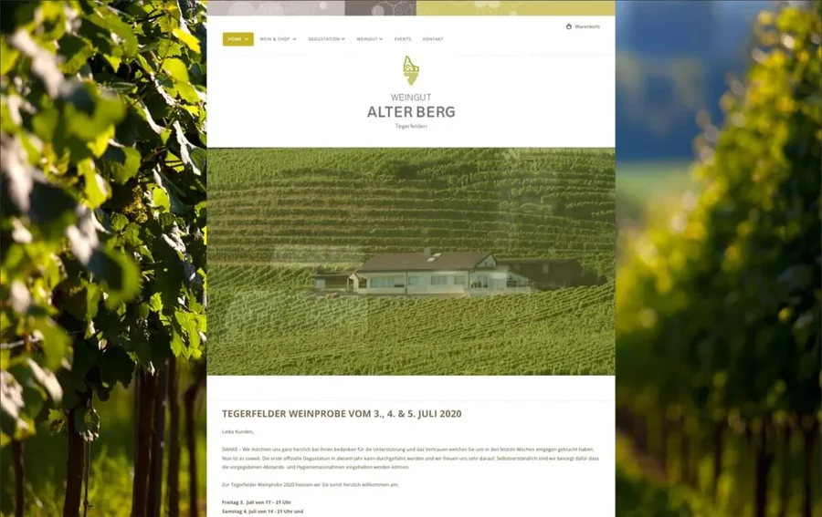 Screenshot Weingut Alter Berg